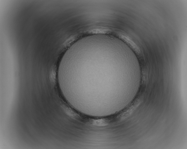 X0000112350309200908271238