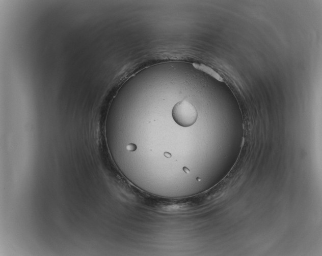 X0000112350312200908271238