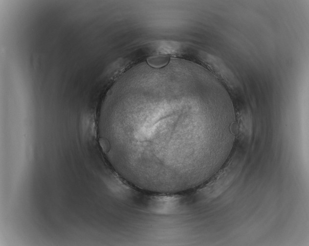 X0000112350313200908271238