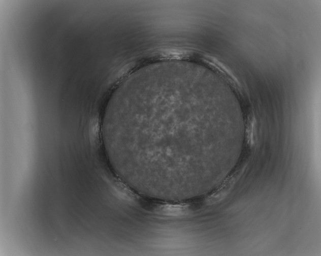 X0000112350314200908271238