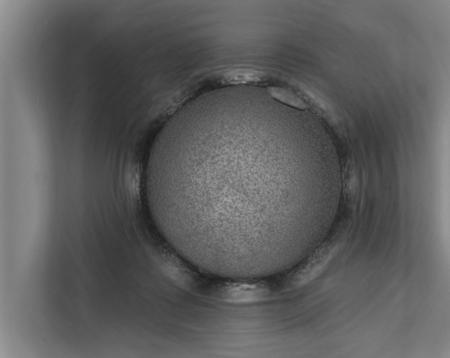 X0000112350315200908271238