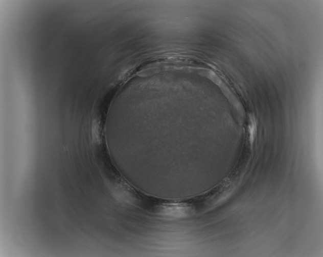 X0000112350316200908271238