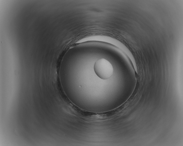 X0000112350320200908271238