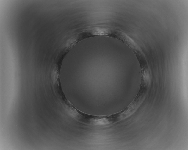 X0000112350322200908271238