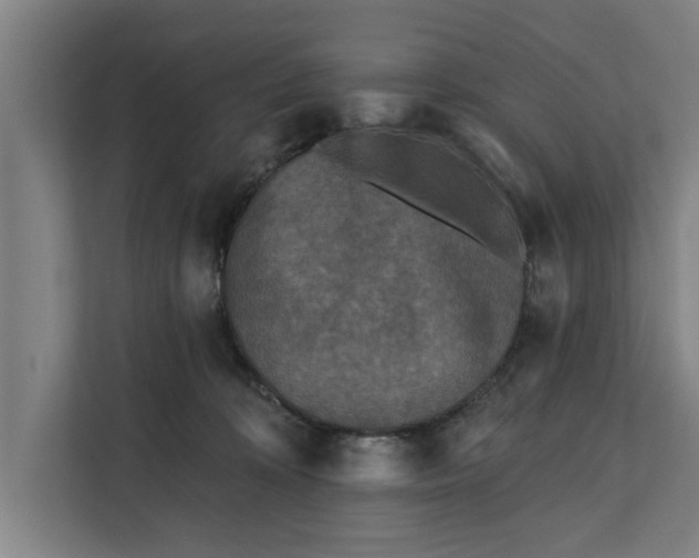 X0000112350324200908271238