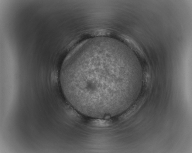 X0000112350326200908271238