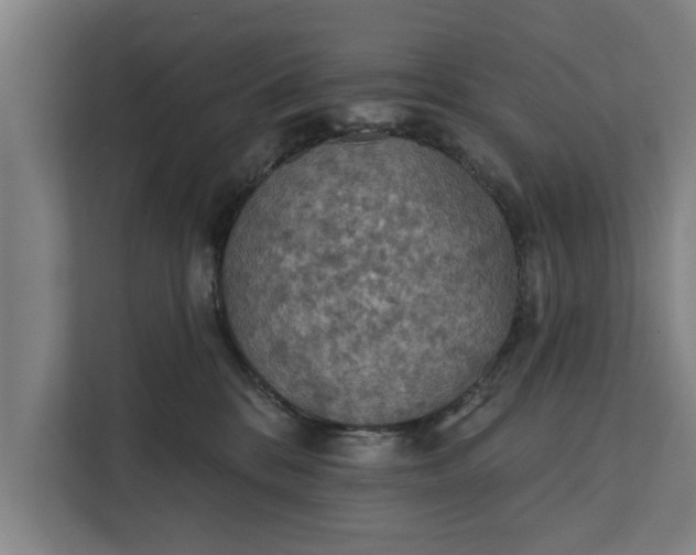 X0000112350328200908271238