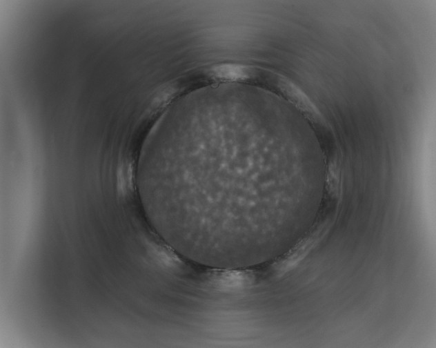 X0000112350330200908271238