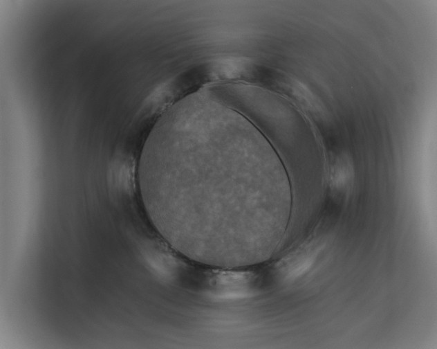 X0000112350332200908271238