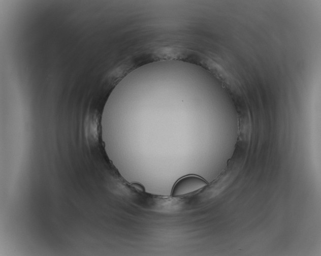 X0000112350334200908271238