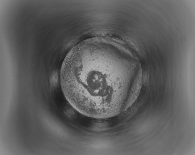 X0000112350335200908271238