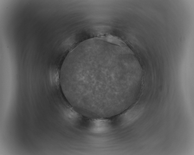 X0000112350336200908271238