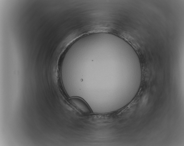 X0000112350338200908271237