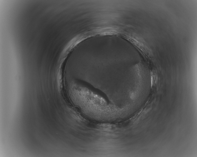 X0000112350339200908271237