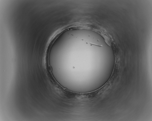 X0000112350340200908271237