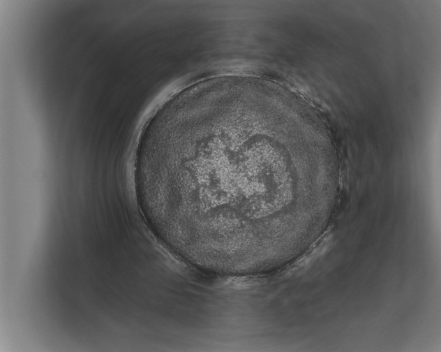 X0000112350341200908271237