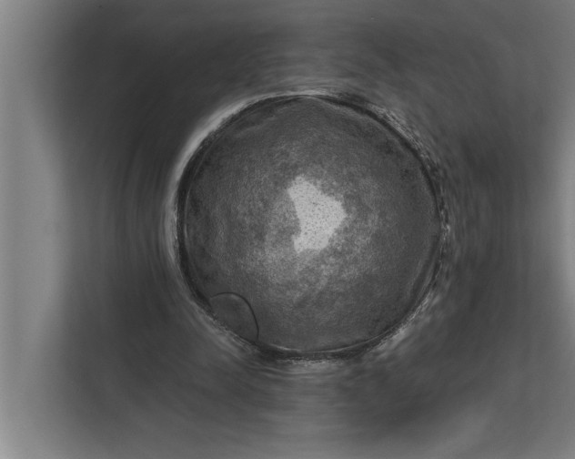 X0000112350342200908271237