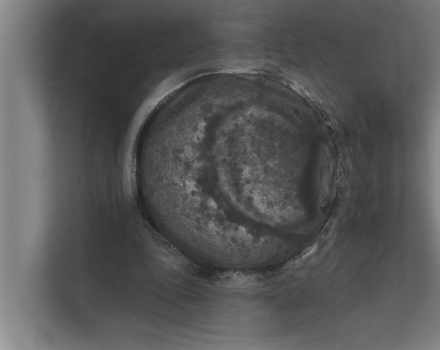 X0000112350343200908271237