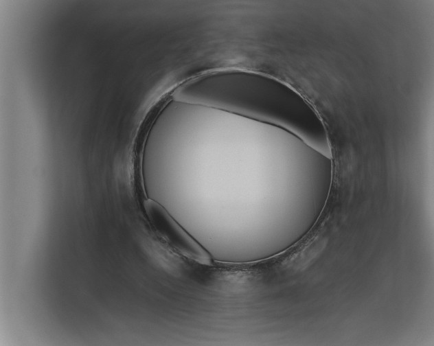 X0000112350344200908271237