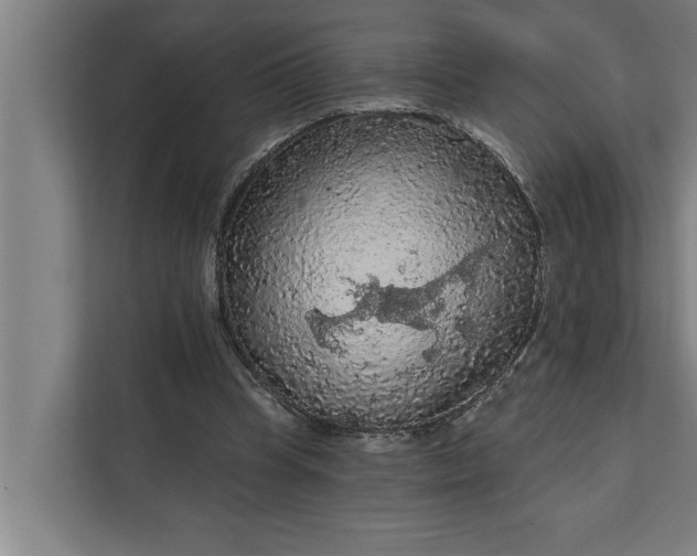 X0000112350345200908271237