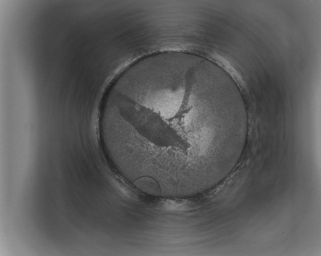 X0000112350346200908271237