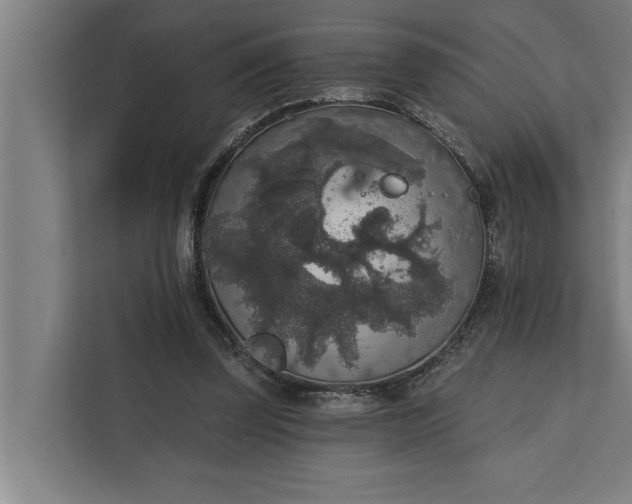 X0000112350347200908271237