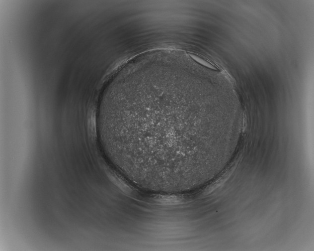 X0000112350349200908271237