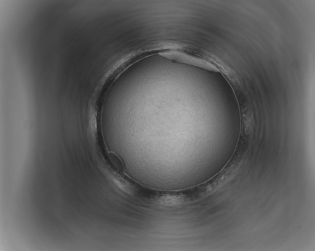 X0000112350350200908271237