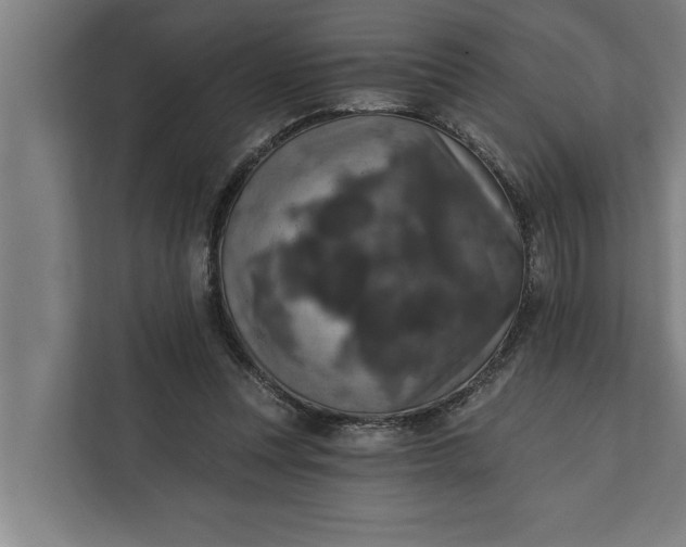 X0000112350351200908271237