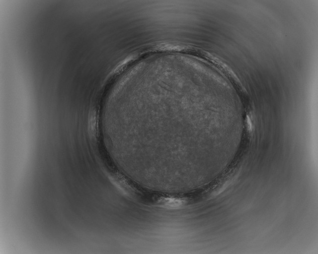 X0000112350352200908271237