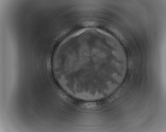 X0000112350353200908271237