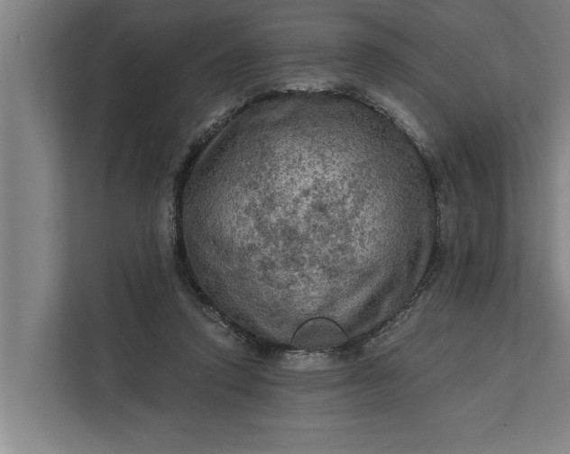 X0000112350354200908271237