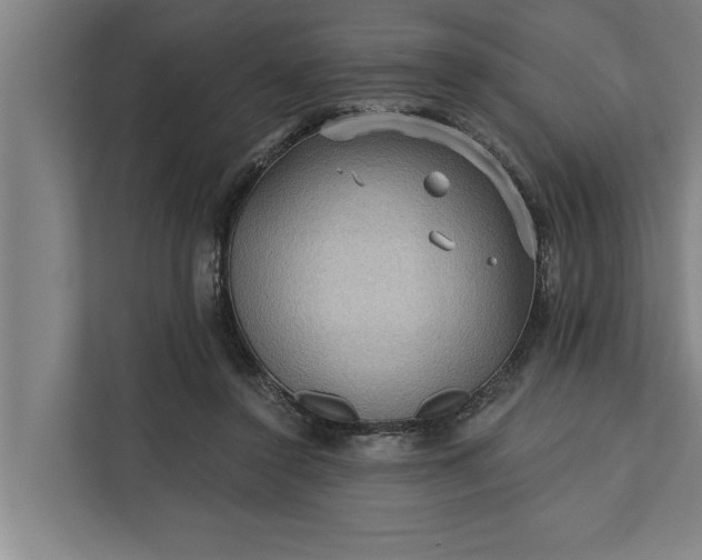 X0000112350356200908271237