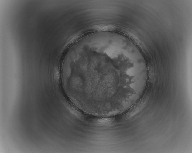 X0000112350357200908271237