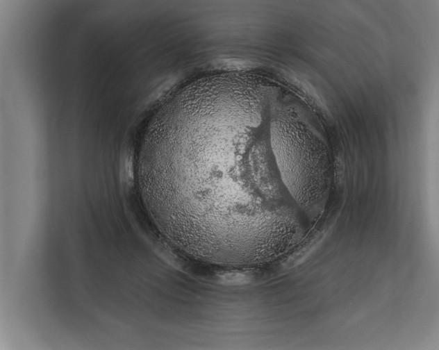 X0000112350358200908271237