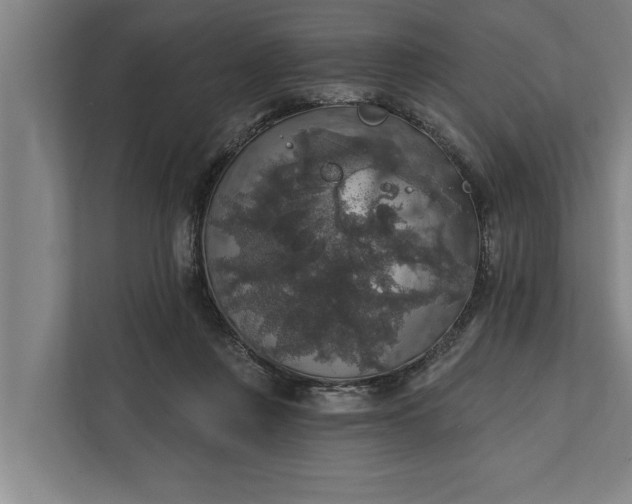 X0000112350359200908271237