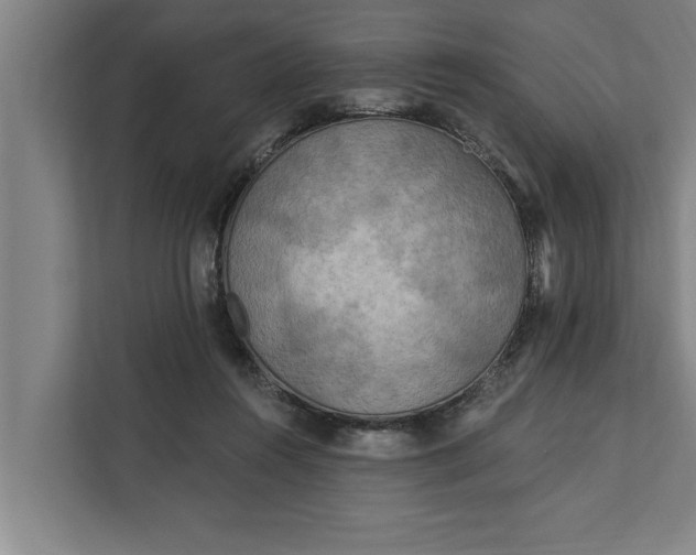 X0000112350360200908271237