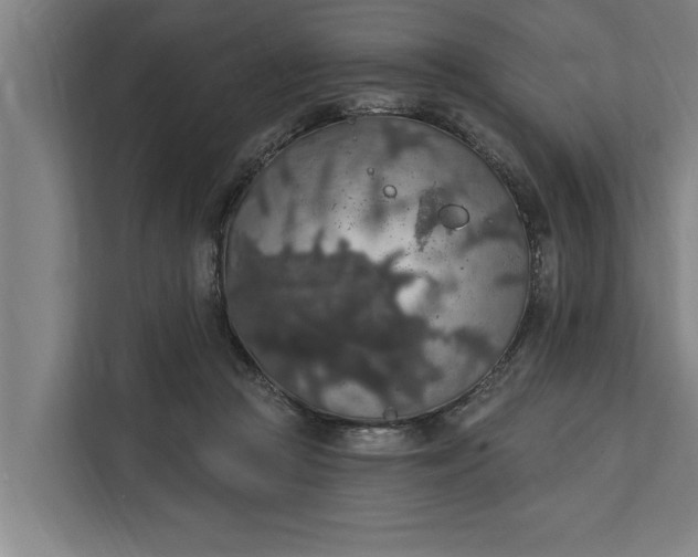 X0000112350361200908271237