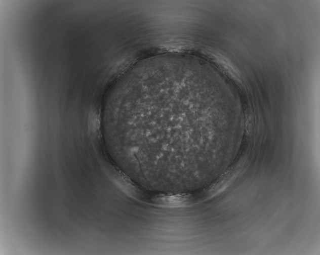 X0000112350365200908271237