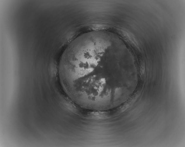 X0000112350367200908271238