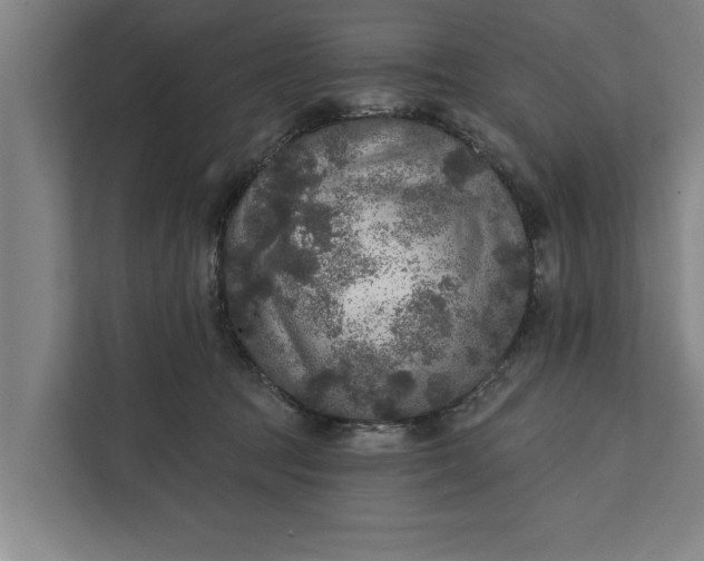 X0000112350369200908271238