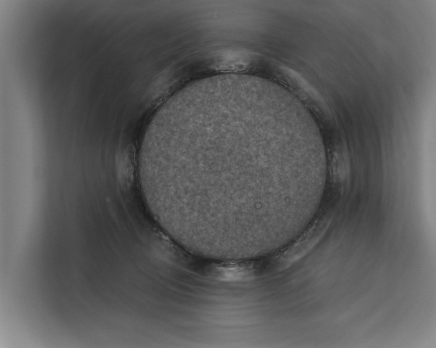 X0000112350370200908271238