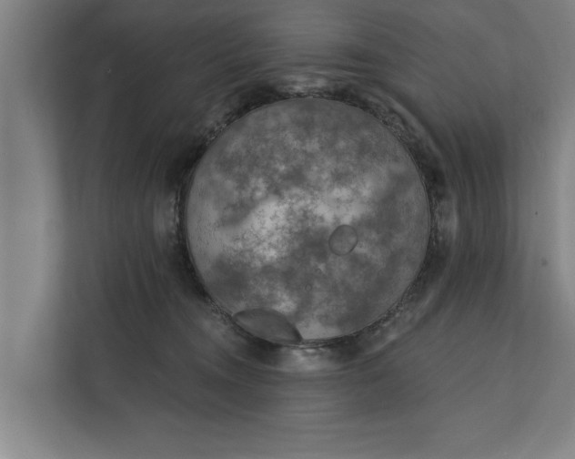 X0000112350372200908271238