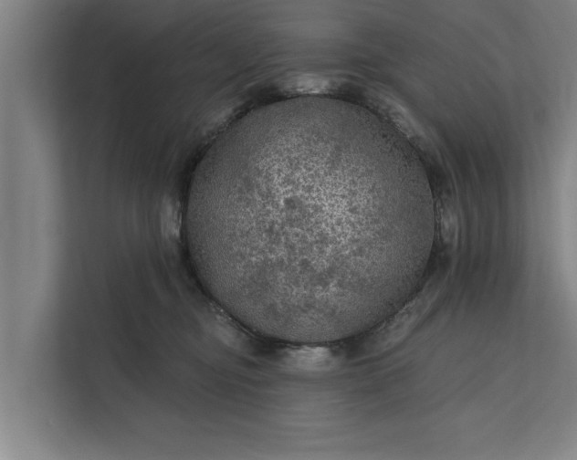 X0000112350374200908271238