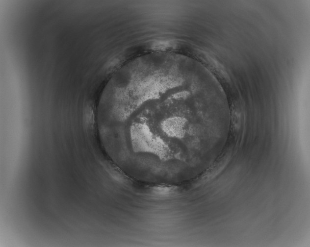 X0000112350375200908271238