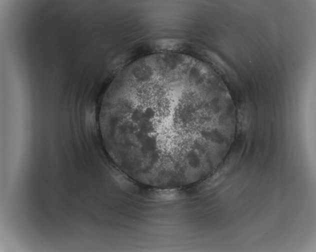 X0000112350377200908271238