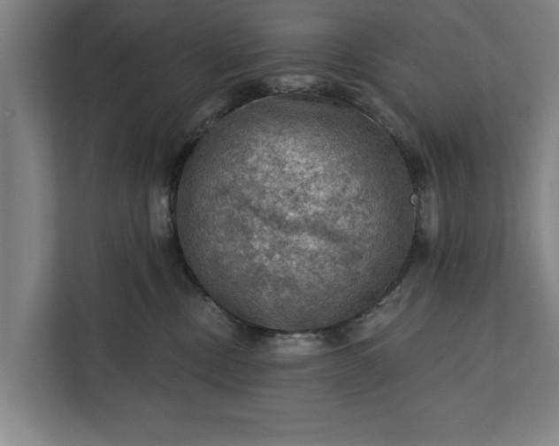 X0000112350378200908271238