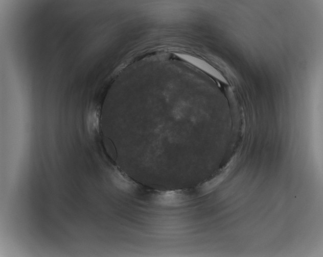 X0000112350382200908271238