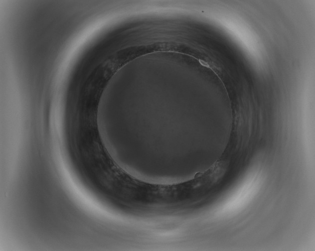 X0000112350383200908271238