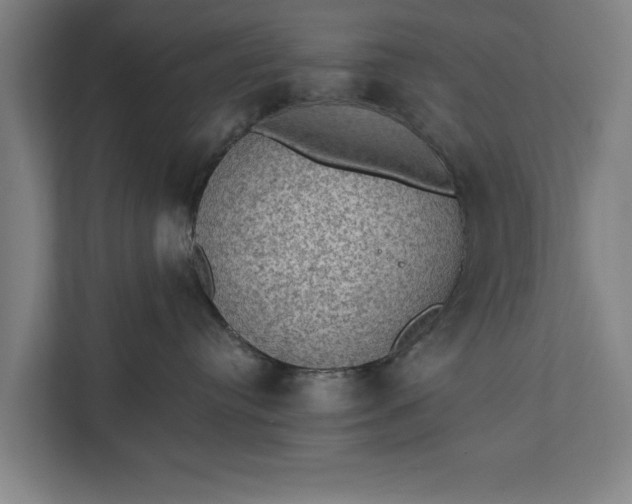 X0000112350384200908271238